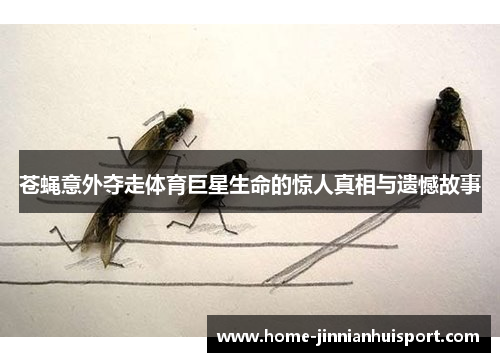 苍蝇意外夺走体育巨星生命的惊人真相与遗憾故事